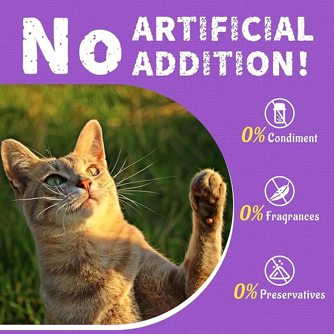 Just Try 13.4 OZ Lysine Cat Treats Natural Salmon Flavor Healthy Cat Training Biscuits Snacks Lysine Dental Care Treats for Cats & Kittens