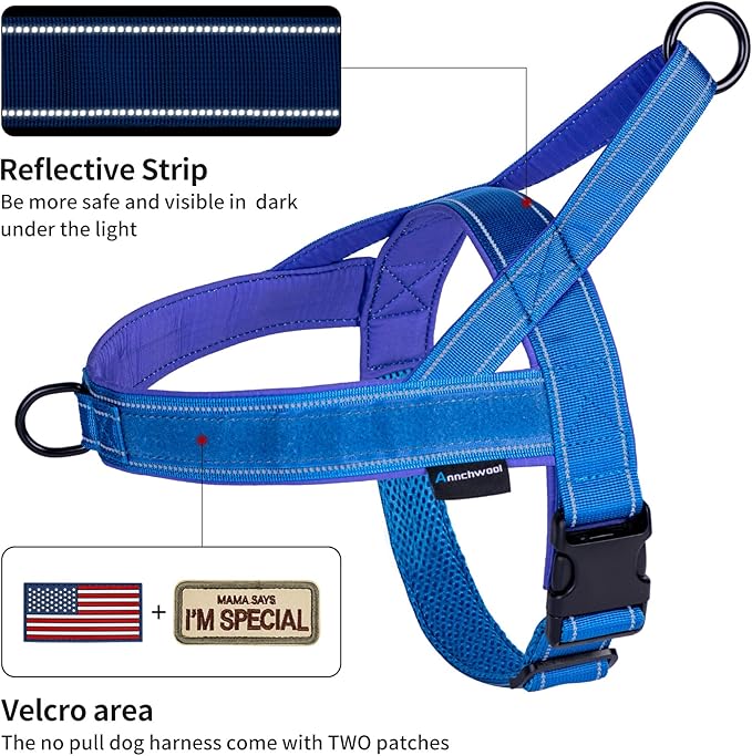 Annchwool No Pull Dog Harness with Padded Handle+5 Ft Leash,Reflective Strip Escape Proof and Quick Fit to Adjust Dog Harness,Easy for Training Walking for Small & Medium and Large Dogs(Blue-Set,S)