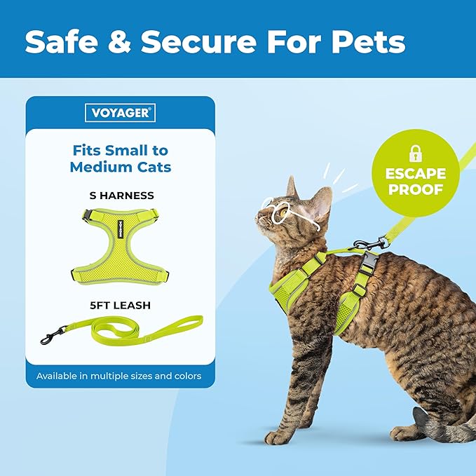 Voyager Escape Proof Cat Harness and Leash Set with Reflective Stitching, Neoprene Handle 5ft - Supports Small, Medium and Large Cats, Kittens for Walking by Best Pet Supplies - Lime, S