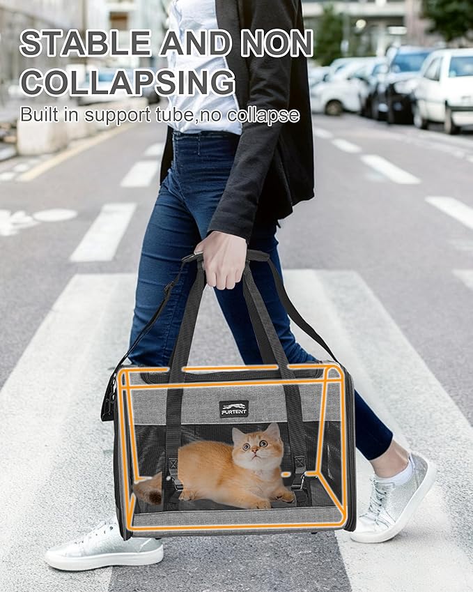 Soft-Sided Large Cat Carrier for 2 Cats, Spacious Foldable Pet Travel Carrier for Large Cats up to 25 Lbs, Double Cat Bag with Shoulder Strap, 20x13x13 Inch, Fits Maine Coon and Small Dogs, Grey