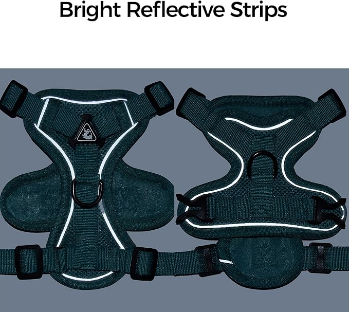 Cat Harness and Leash Set Escape Proof Tactical Extra Large Kitten Harness Emotional Support Cat Vest, Turquoise, XXL