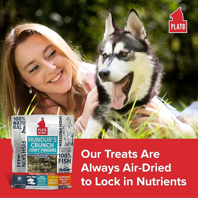 PLATO Hundur's Crunch Jerky Fingers 3.5oz, Natural