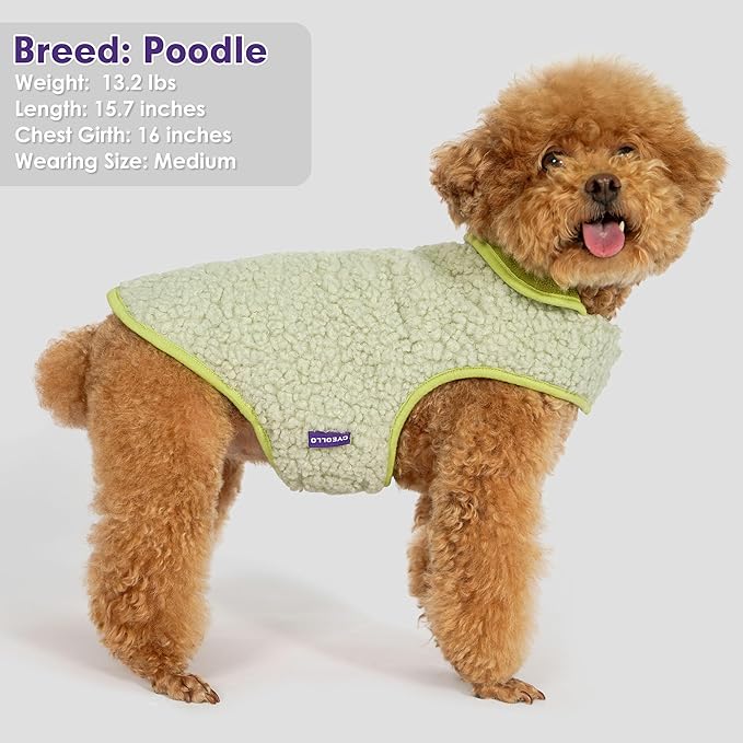 cyeollo Warm Dog Coat Fleece Sherpa Winter Sweater Coats, Turtleneck Dog Jacket Vest for Small Medium Large Dogs with Leash Hole, Soft Reversible Pet Coats for Cold Weather, Green, XL