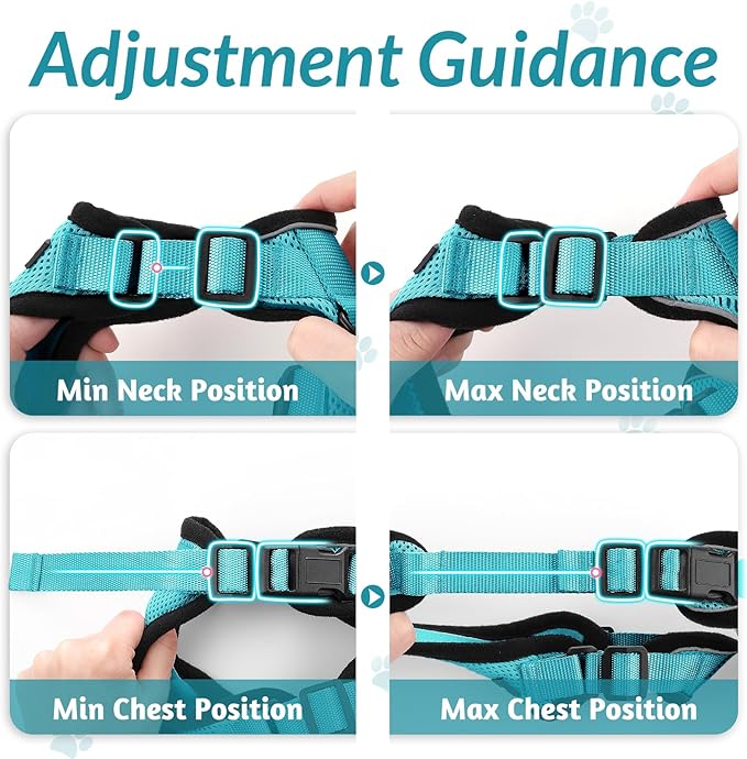 rabbitgoo Cat Harness and Leash for Walking, Escape Proof Soft Adjustable Vest Harnesses for Cats, Easy Control Breathable Reflective Strips Jacket, Teal, XS