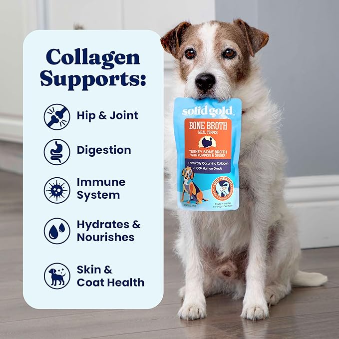 Solid Gold Turkey Bone Broth for Dogs - Limited Ingredient Bone Broth Dog Food Toppers for Picky Eaters with Collagen & Superfoods - Dog Gravy Topper for Dry Food - Gut Health & Hydration - 12 Pack