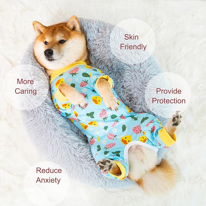Dog Recovery Suit for Small Medium Large Dogs, Pet Onesie After Surgery Comfort Dog Bodysuit Anti Licking (Small, Blue)