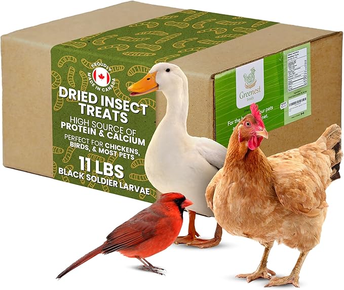 Dried Black Soldier Fly Larvae Chicken Treats for Hens, Duck, Wild Birds, Lizard, Tortoise, Fish - All Natural High Protein Dried Mealworms Alternative - Made in North America