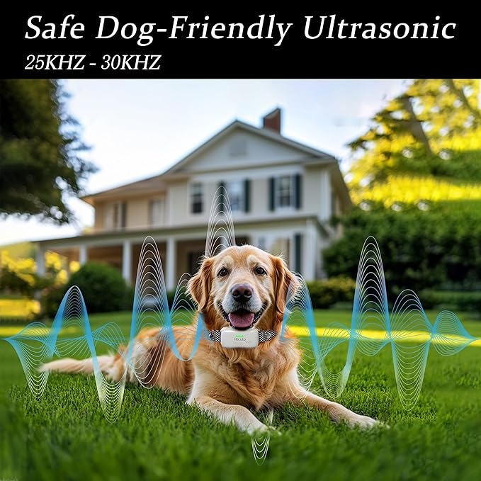Wireless Dog Fence & Ultrasonic Training Collar -1160-Yard Adjustable Boundary for Outdoor, 6100FT Remote, 4 Modes (Beep/Vibration/Static/Ultrasonic), IPX7 Waterproof, 185-Day Standby, Grey