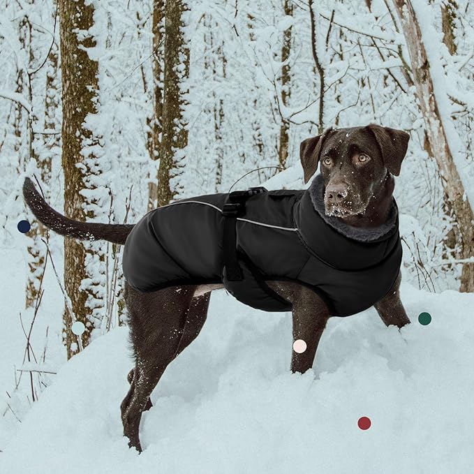 IECOii Extra Warm Dog Coat - Reflective, Adjustable Jacket with Buckle, Fleece Turtleneck for Cold Weather, Soft Winter Coat for Small to Extra Large Dogs