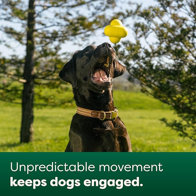 Earth Rated Dog Ball, Interactive Fetch Toy for All Breeds, Comes in Multiple Sizes, Made with Natural Rubber, Perfect for Indoor and Outdoor Use, Large, Yellow