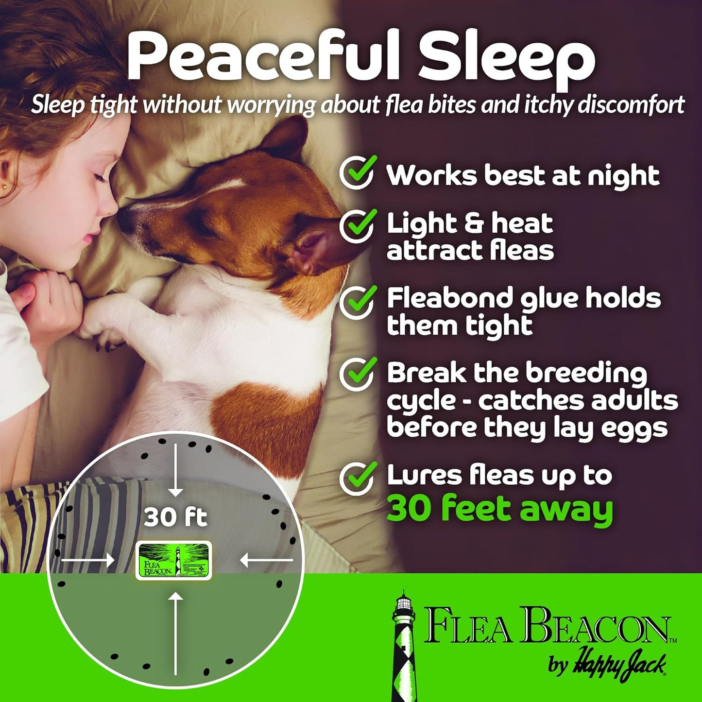 Happy Jack Flea Beacon Kill Fleas in House, Attracts, Traps Indoor Bugs, Breaks Breeding Cycle Before Adults Lay Eggs, Safe, Fast, & Clean Way to Get Rid of Indoor Pests, Made in USA