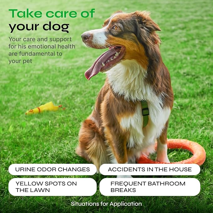 Dog Urine Neutralizer for Lawn - Grass Burn Spot Chews for Dogs - Dog Pee Grass Spot Saver - Green Lawn Treats with Enzymes - Digestive and Gut Health Support Chews - Canine UTI Support Supplement
