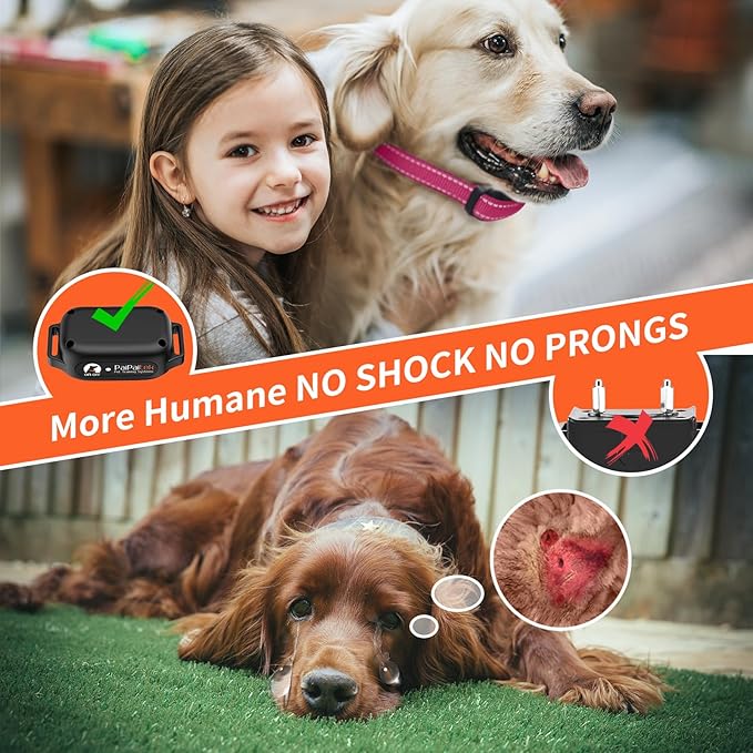 PaiPaitek Vibrating Dog Collar No Shock, Dog Vibration Collar with Controller 3300ft Range, No Shock Training Collar for Small Dogs, IPX7 Waterproof, Safe Lock - No Prongs