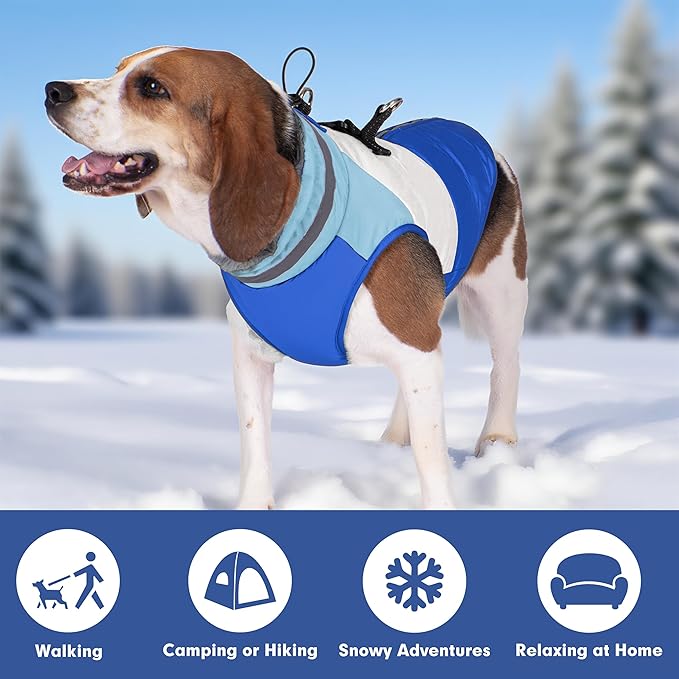azuza Dog Jacket for Small Dogs Waterproof Dog Coat with Reflective Strips and Harness Built in Warm Fleece Dogs Winter Coat Windproof with Back Zipper, Blue M