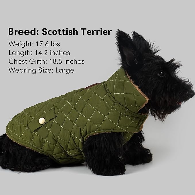azuza Dog Jacket Waterproof & Windproof Dog Coat for Small Dogs with Thick Fleece, High Collar with Leash Hole, Adjustable Velcro & Elastic Belly, Army Green M