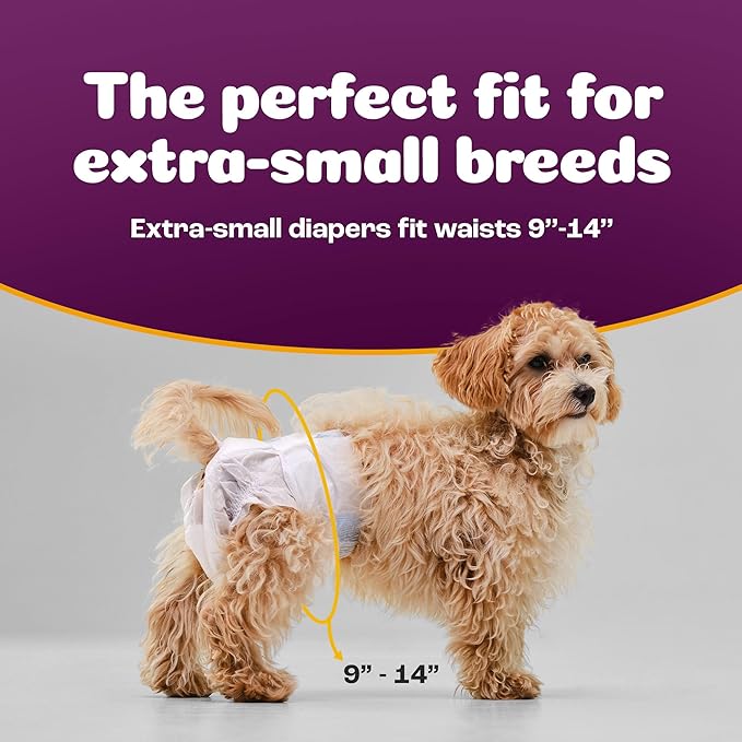 Inspire Pet Care Dog Diapers Female Dogs | Bulk Value Doggie Incontinence, Accidents, for Heat, Pee or Period and Housebreaking (X-Small (100 Count))