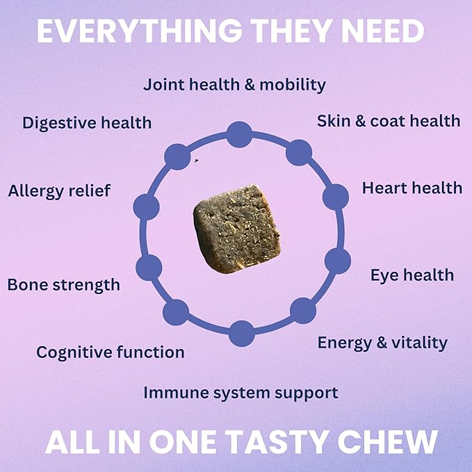 Under the Weather Multivitamin for Dogs | Vet Formulated Daily Canine Health Supplies for Immunity, Skin, Coat & Joint Support | All-in-One Multivitamin for Dogs of All Breeds & Sizes | 60 Count