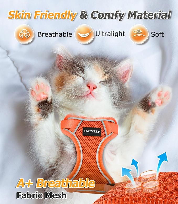 Halypet Cat Harness and Leash Set [MAX Safety 4th-Gen Upgrade] Escape Proof Adjustable Cat Leash Comfortable Soft Vest Easy to Wear Kitten Harness with Reflective Strip for Cats Walking, S Orange