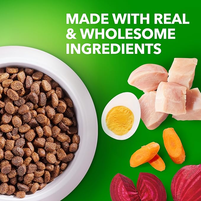 IAMS Proactive Health Puppy Food with Real Chicken, 7 lb. Bag