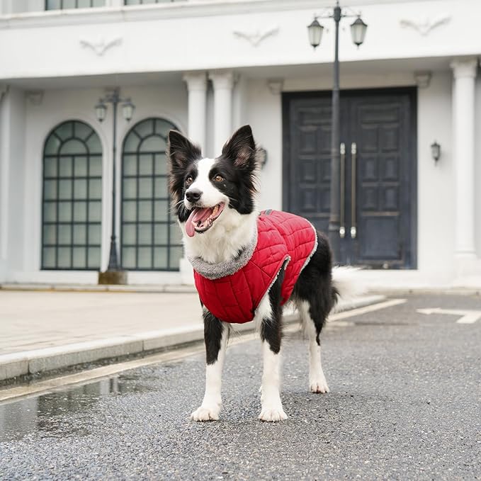 Warm Fleece Dog Coats with Durable Harness Buitl in D-Ring,Waterproof Puppy Jacket for Small Dogs,Dog Vest for Cold Winter,Red M