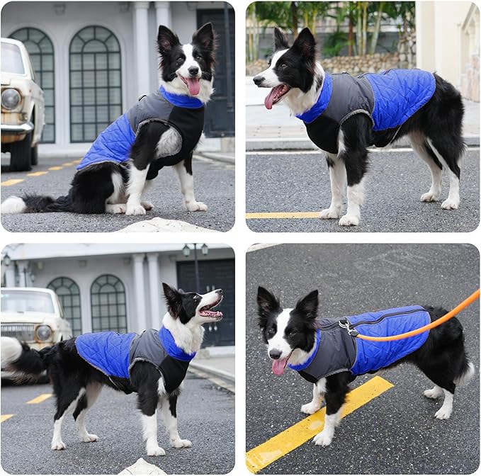 Warm Fleece Dog Coats for Small Dogs,D-Rings Waterproof Puppy Jacket for Cold Winter,Blue S