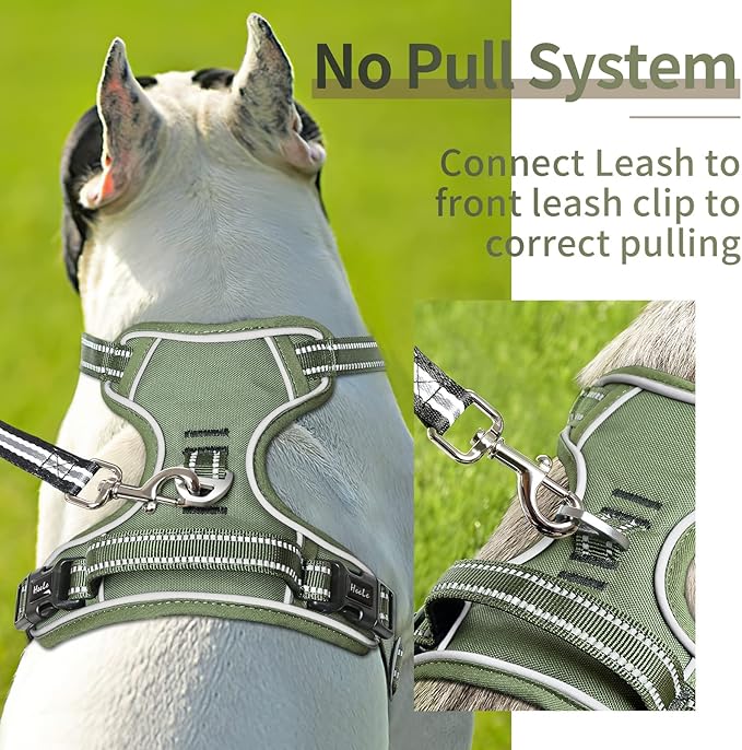 HEELE Dog Harness, No Pull Adjustable Padded Reflective Harness for Small Medium Large Dogs with Handle for Walking Training, Green, M