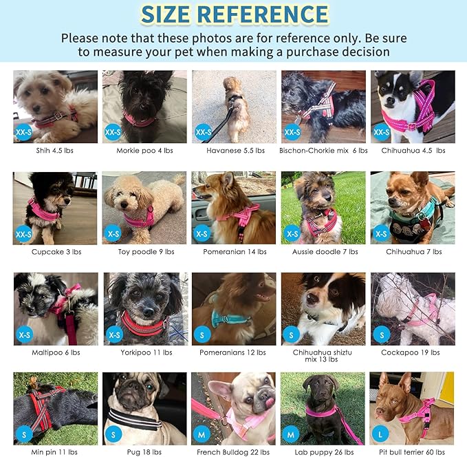 SlowTon No Pull Small Dog Harness and Leash Set, Puppy Soft Vest Harness Neck & Chest Adjustable, Reflective Lightweight Harness & Anti-Twist Pet Lead Combo for Small Medium Dogs (Fuchsia, XXS)