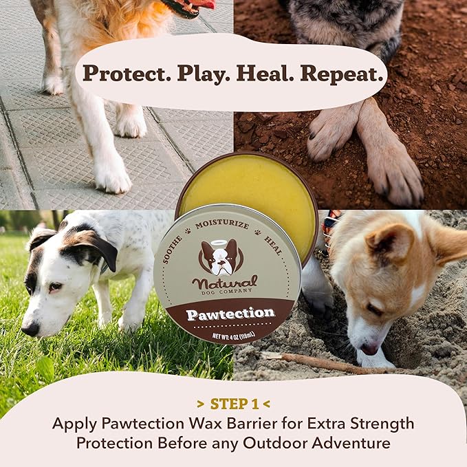 Natural Dog Company PawTection Balm 2 oz Tin – Wax-Based Paw Protector Stick with Shea Butter & Calendula – Shields Paws from Snow, Ice, Salt, Hot Pavement & Rough Terrain – Lick-Safe, All Breeds