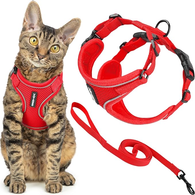 Voyager Escape Proof Cat Harness and Leash Set with Reflective Stitching, Neoprene Handle 5ft - Supports Small, Medium and Large Cats, Kittens for Walking by Best Pet Supplies - Red, S