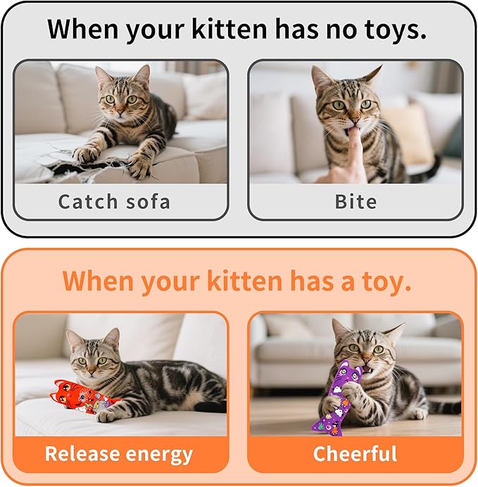 Halloween Catnip Toys for Adult Cats Large Indoor Cat Plush Toys with Crinkle Kitten Kicker Chew Toy 6 Pcs