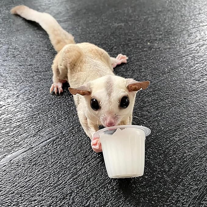 Nectar Pods (Variety 5 Pack) - Calcium-Fortified Jelly Fruit Treat - Sugar Gliders, Marmosets, Squirrels, Parrots, Cockatiels, Parakeets, Birds, Hamsters, Day Geckos, Kinkajous & Other Small Pets…