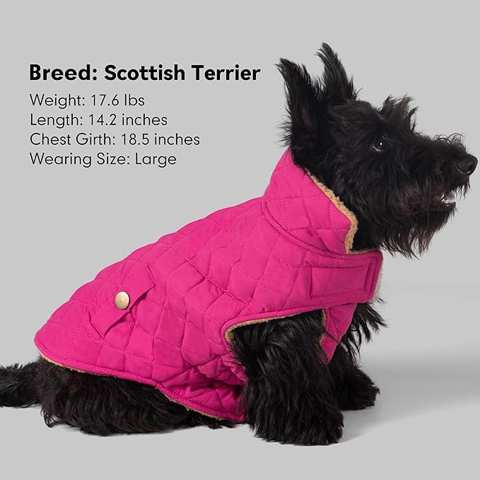 azuza Dog Jacket Waterproof & Windproof Dog Coat for Small Dogs with Thick Fleece, High Collar with Leash Hole, Adjustable Velcro & Elastic Belly, Rose Red M