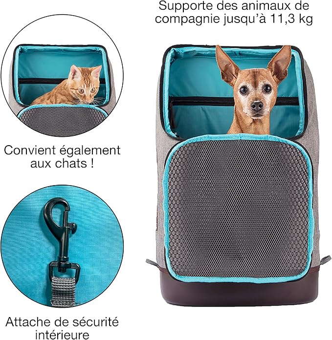 Kurgo Dog Carrier Backpack for Small Pets - Hands-Free Pet Travel Backpack - Armorsole Base - Convertible Backpack to Carrier - Rugged Pet Backpack - Heather Grey