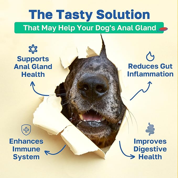 Happy Paws Scoot Stop Supplement for Dogs, Anal Gland Chew & Digestive Health Support for Dogs of All Breeds & Ages, Vegan Chicken Flavor, Organic, Non GMO, 100 Soft Chews