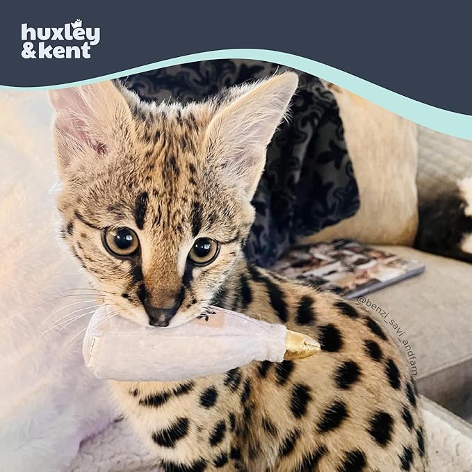 Huxley & Kent Plush Cat Toy - Interactive Catnip Toy for Cats & Kittens - Soft Kitty Toy with Crinkle & Catnip - Fun Indoor Play Toy - Toto's Pawdka