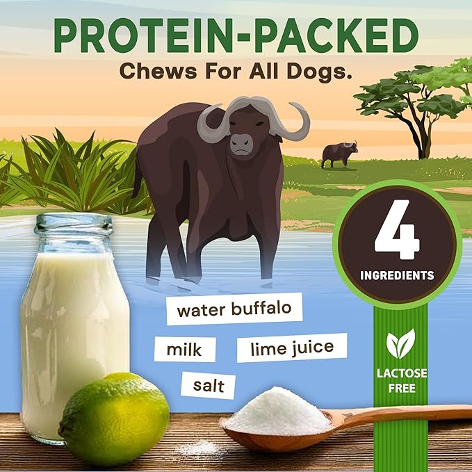 EcoKind Premium Gold Yak Cheese Himalayan Dog Chews, Healthy Dog Treats for Medium Dogs, All Natural, High Protein Dog Chew, Water Buffalo, Medium - 3 Chews