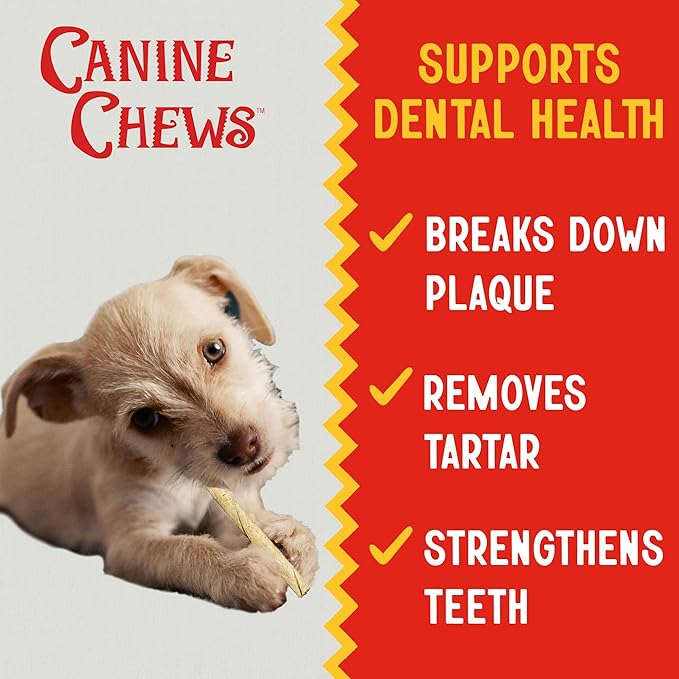Canine Chews Small Rawhide Twists for Dogs - Pack of 100 5" Chicken Flavored Rawhide Sticks for Small Dogs & Puppies - Protein Dense Chicken Rawhide Twists - Natural Dog Rawhide Sticks