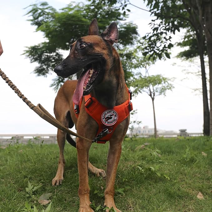 ICEFANG Tactical Dog Harness, Large Size,2X Metal Buckle,Working Dog MOLLE Vest with Handle,No Pulling Front Leash Clip,Hook and Loop Panel (Orange,L (Pack of 1))