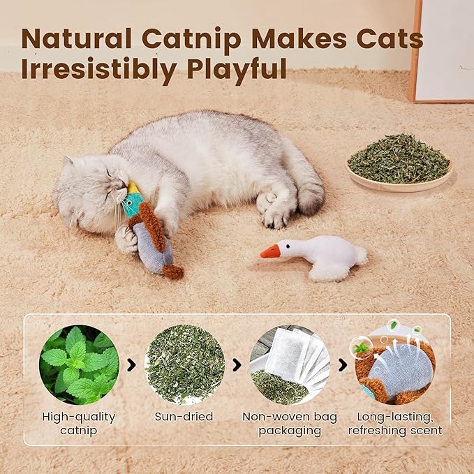 Potaroma Birds Cat Toys, 2 Pack Catnip Toys Soft Durable, Crinkle Sound Kicker Toys for Interactive Indoor Kitten Exercise 6.5 Inches for All Breeds