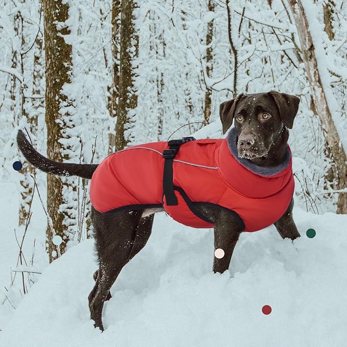 IECOii Extra Warm Reflective Adjustable Dog Jacket - Dog Winter Coat with Buckle Fleece Turtleneck for Cold Weather, Small - Extra Large Dogs