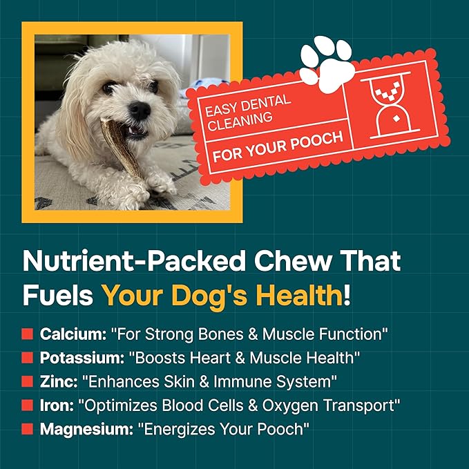 100% Natural - Split Antlers for Dogs ( 3pack ) - Naturally Shed in USA - Grade A Long Lasting Chew for Aggressive Chewers - Elk Antlers Dog Antler Chews - Treats & Toys - No Odor & No Mess - Small