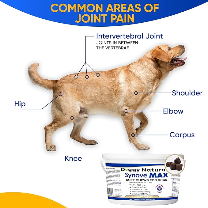 Synove Max Soft Chews for Dogs (240 Count) Beef Flavor, Joint Supplement, Glucosamine, Turmeric, Boswelllia serrata, Creatine Naturally Derived Ingredients better than synovi g4 soft chew
