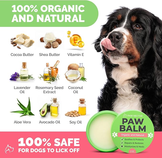 Natural Lick Safe Dog Paw Balm - 100% Organic Dog Paw Pad Balm Protector, Moisturizer & Soother for Dry Cracked Paws, Hot Pavement, Winter - Heals, Repairs & Restores - Coconut Oil, Shea Butter (2oz)