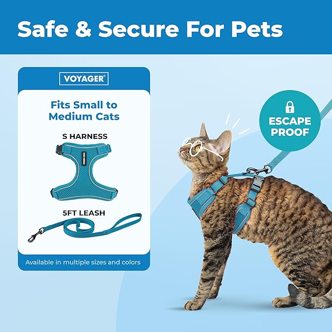 Voyager Escape Proof Cat Harness and Leash Set with Reflective Stitching, Neoprene Handle 5ft - Supports Small, Medium and Large Cats, Kittens for Walking by Best Pet Supplies - Turquoise, S