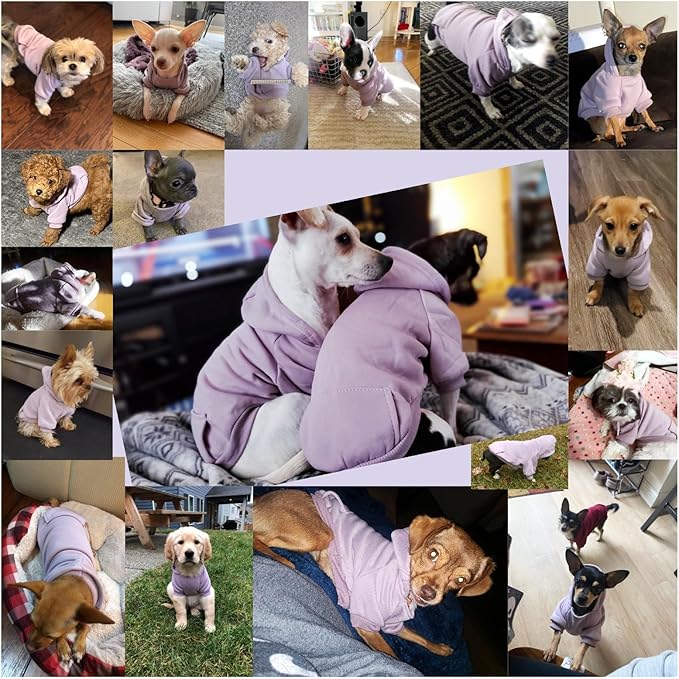 Jecikelon Winter Dog Hoodie Sweatshirts with Pockets Warm Dog Clothes for Small Dogs Chihuahua Coat Clothing Puppy Cat Custume (Purple, XX-Small)