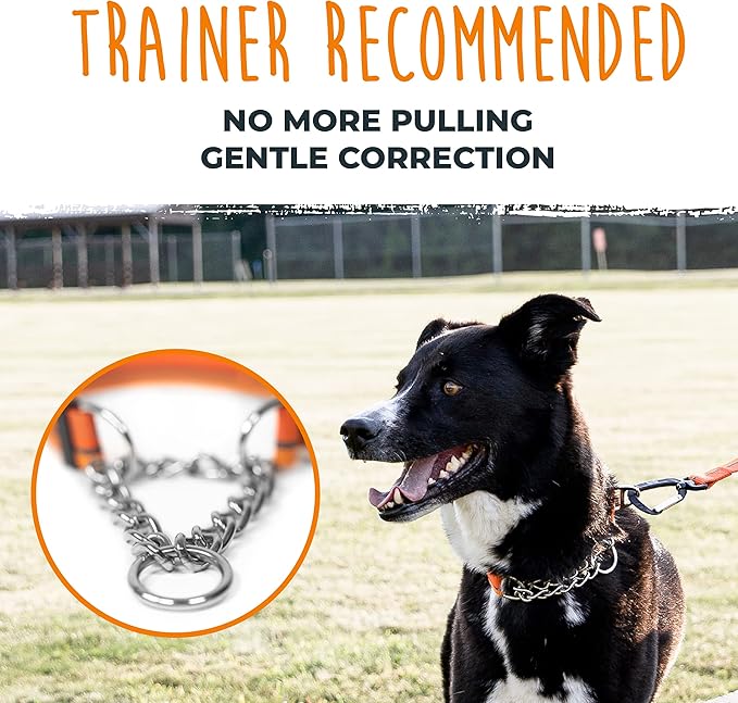 Mighty Paw Martingale Dog Collar 2.0 | Trainer Approved Limited Slip Collar with Stainless Steel Chain & Heavy Duty Buckle - Modified Cinch for Gentle & Effective Pet Training - Large, Orange