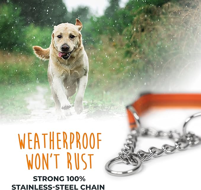 Mighty Paw Martingale Dog Collar 2.0 | Trainer Approved Limited Slip Collar with Stainless Steel Chain & Heavy Duty Buckle - Modified Cinch for Gentle & Effective Pet Training - Medium, Orange