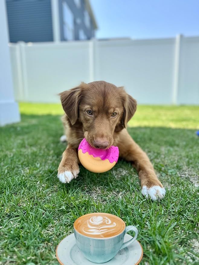 Nylabone Donut Power Chew Toy for Dogs, Dog Toys for Aggressive Chewers, Bacon Glazed Flavor, Medium Dogs - Up to 35 lbs, 1 Count