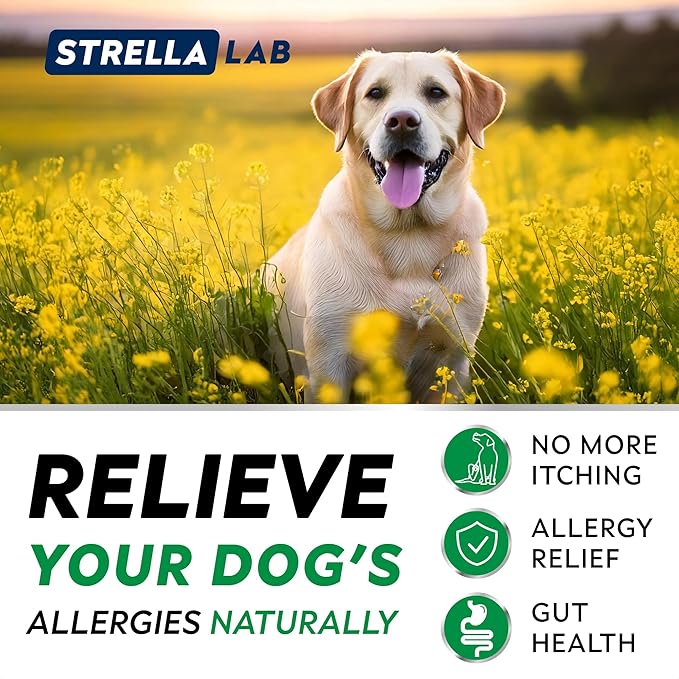 StrellaLab Dog Allergy Relief & Anti Itch Support Chews w/Omega 3: Real Ingredients, Real Taste! Skin & Coat Immune Supplement w/Fish Oil, Pumpkin & Enzymes — Developed by Experts - Made in USA -240Ct