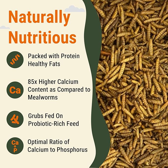 Natural Black Soldier Fly Larvae for Chickens, 85X More Calcium Than Mealworms-High Protein Grub Food Chicken Treats for Hens, Probiotic-Rich Chicken Feed, Calcium-Dense Bird Treat 5lb